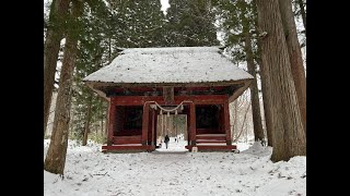 Dec 24 Japan Nagano (Jigokudani Yaen Koen, Togakushi Shrine) - Shot on DJI Osmo Action 4