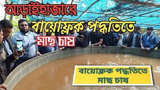 আড়াইহাজারে বায়োফ্লক প্রযুক্তিতে মাছ উৎপাদন,Biofloc fish farming in ‍Arihazar