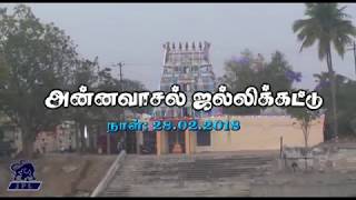 அன்னவாசல் ஐல்லிக்கட்டு (Annavasal Jallikattu)  PArt 1