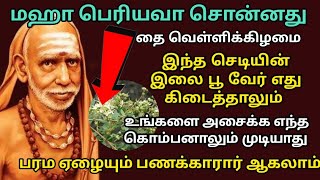 நாளை jan-24 தை வெள்ளிக்கிழமை இந்த இலை கிடைத்தால் கோடீஸ்வரர் ஆவது உறுதி