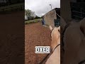 chest cam footage of ivy u0026 ace. horse showjumping equestrian horseriding equestriangirl