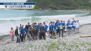 ウミガメの町で海岸清掃【テレビトクシマ】