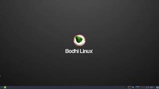 Bodhi Linux review! debian based!