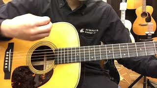 Martin D-28Marquis  試奏動画