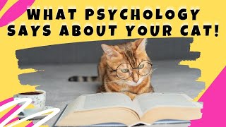 CAT TV | What Psychology Reveals About Your Cat & It’s Not What You Think