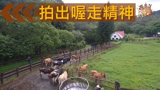 《喔走！48小時》第7季EP09：拍出喔走精神