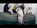 SPEARFISHING GIANT DOGTOOTH TUNA IN PAPUA NEW GUINEA