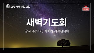 2025년 1월 20일 [새벽기도회_송진형 목사]