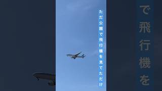 ただ公園で飛行機を見てただけのショート動画  #shorts #飛行機 #空 #公園