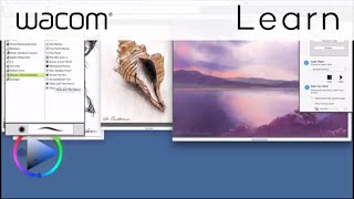 Introduction to the Painter Essentials 6 User Interface