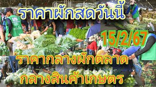 ราคาผักล่าสุดวันนี้ ราคากลางผักล่าสุดวันนี้ 15/2/67