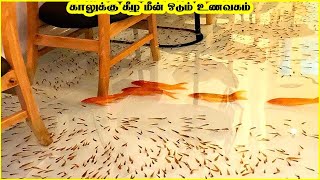 உலகின் வினோதமான 6 உணவகங்கள் |Restaurants| 87