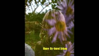 1970'S  PSYCHEDELIC SOFT ROCK ALBUM TRACK ▶️ Share By Gurol Erkan " naac.tr " V738