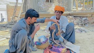 Jogi Culture \u0026 Wildlife of Thar | A Stunning Pakistan Vlog | Wildlife Vlogs TV | Saife Aur Jogi 🌵