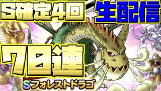 【ドラクエタクト】ガチャ生配信！フォレストドラゴSPスカウトガチャ60連\u0026ダースドラゴン10連！今宵はドラゴン祭りじゃあああ！【ドラゴンクエストタクト】【DQT】