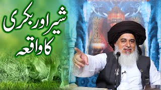 Allama Khadim Hussain Rizvi |Sher or Bakri Ka Waqia | Latest
