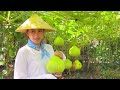 harvesting farm produce with alex gonzaga i behind the scenes i joseph the explorer