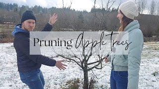 Learn How to Prune Fruit Trees With Us | Learning How To Homestead