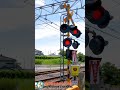 【踏切 電車】なにが通るかな？？？【ふみきりショート動画106】 shorts