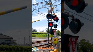 【踏切 電車】なにが通るかな？？？【ふみきりショート動画106】  #shorts