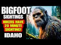 Hikers Have a 20 Minute Sighting of a BIGFOOT!