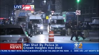 Brooklyn Police-Involved Shootings