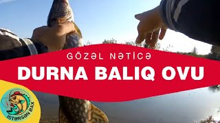 Yaxşı qardaşlarla gözəl ov elədik. At Çek - Spin balıqçılıq. Durna balıq ovu 2024