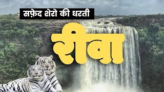 रीवा शहर के कुछ अनजाने आयाम | Rewa Documentary | All Tourist Places | Madhya Pradesh Tourism #rewa