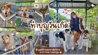 พาบางแก้วเที่ยว | มูลนิธิบ้านสงเคราะห์สัตว์พิการ บางเลน จ.นครปฐม EP5#บางแก้ว #dogs #doglover #ทำบุญ