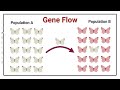 biology grade 9 chapter 11 knowledge 11.4 lecture 1 ncp 2022