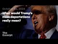 What would Trump’s mass deportations really mean? | The Excerpt