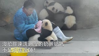 《熊貓主題趴》沒給胖達洗過澡的奶爸奶媽不是好搓澡師！ | iPanda