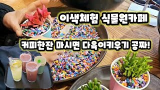 [vlog] 7,000원만 내면 커피음료도마시고 다육이키우기체험을 모두할수있는 신상수목원카페가있다?!!ㅣ체험형이색카페ㅣ피우리하우스