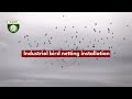 Industrial Bird Netting Installation Process in Hyderabad - Fast Safety Nets