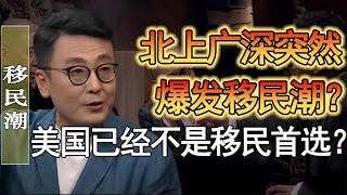 北上廣深突然爆發移民潮？中國人紛紛跑路去歐洲？美國爲什麽不是移民首選了?#竇文濤 #圓桌派 #人生感悟