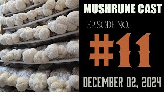 🍄🦁 Lion’s Mane Spotlight | MushRune Cast Episode 11 🦁🍄