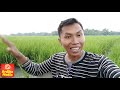 gokil abis nyemprot padi di sawah gaess dikinvlog