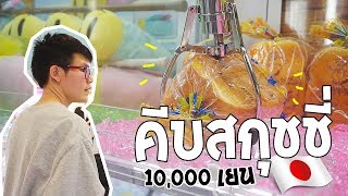 ตู้คีบสกุชชี่ญี่ปุ่นเซอร์ไพร์ส หมดไป 10,000 คีบได้กี่ชิ้น??