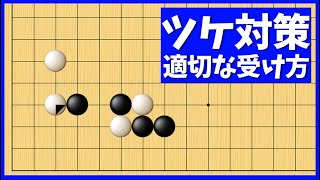 積極的に受け切れる！星の一間バサミ定石のツケ型解析【朝活講座 - 定石の攻防No.278】