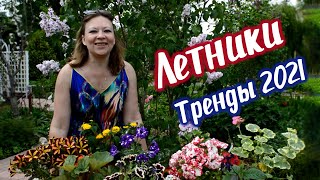 ЛЕТНИКИ ЦВЕТЫ ТРЕНДЫ 2021 | Однолетники которые цветут всё лето