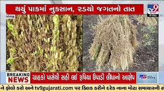 Summer crops suffer major damage in Dhoraji due to unseasonal rains | Tv9Gujarati | Rajkot