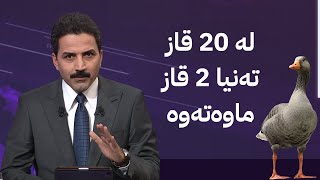 قازی ناحیەی قەسرۆک بەناوبانگە و نرخەکەشی گرانە، بەڵام قازدزەکان نایەڵن خەڵکەکە قازانج بکەن