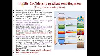 DNA isolation and Purification