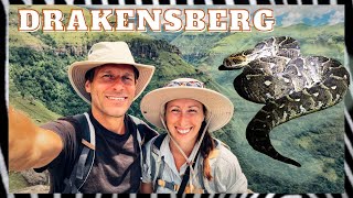 Folles bestioles en Afrique du Sud (Ép. 13) : les Drakensberg