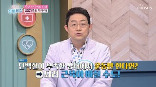 건강한 다이어트를 위해 꼭 필요한 영양소 단백질 TV CHOSUN 220510 방송 | [굿모닝 정보세상] 619회 | TV조선