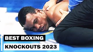 Best Boxing Knockouts of 2023