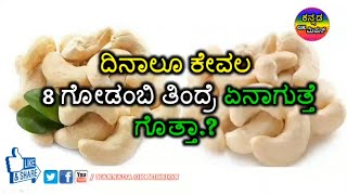 ದಿನಾಲು ಕೇವಲ ಎಂಟು ಗೋಡಂಬಿ ತಿಂದರೆ ಏನಾಗುತ್ತೆ ಗೊತ್ತಾ?