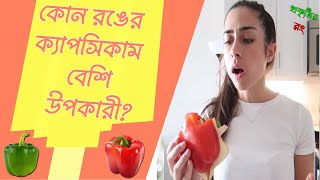 লাল নাকি সবুজ, কোন রঙের ক্যাপসিকাম বেশি উপকারী? ক্যাপসিকামের উপকারিতা ও পুষ্টিগুণ। প্রকৃতির রং