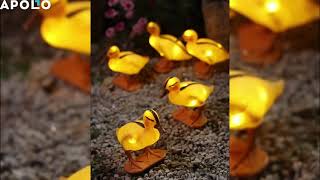 Solar Duck Light