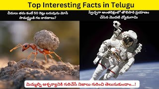 మిమ్మల్ని ఆశ్చర్యానికి గురిచేసే Top Interesting Facts in Telugu | Telugu Interesting Facts | #facts